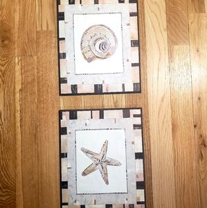 Set of 2 Shell Wall Pictures